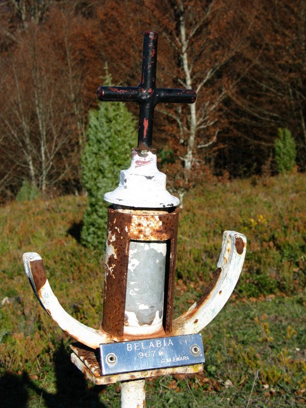Buzoia