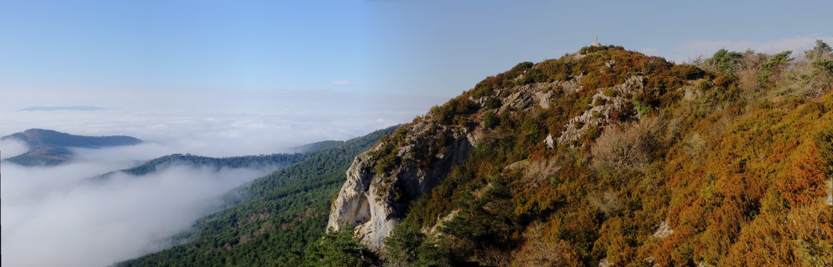 Lakarri 