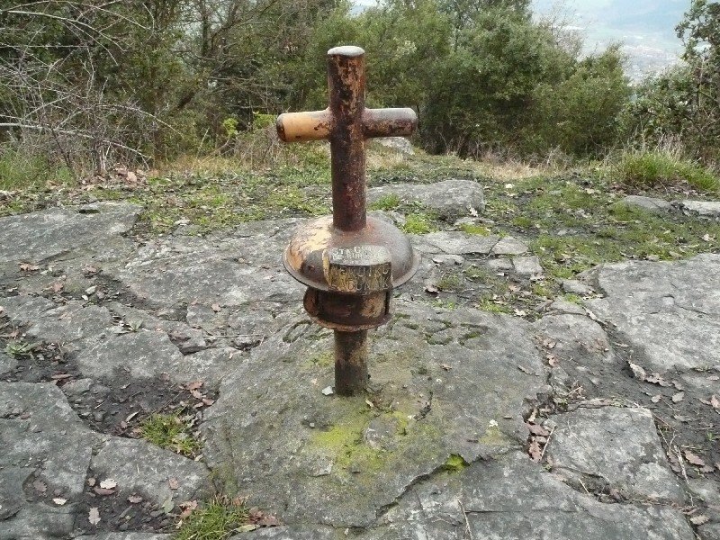 Buzoia