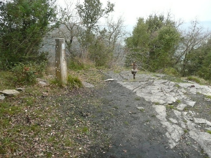 Tontorra