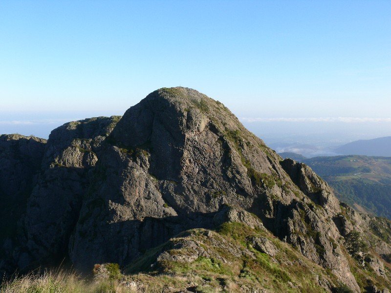 Erroilbide
