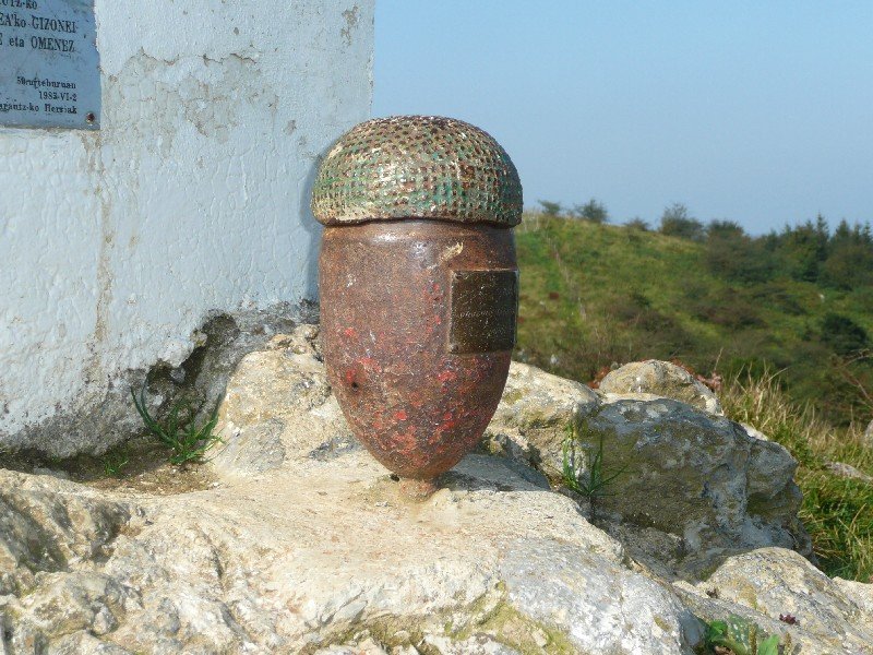 Buzoia