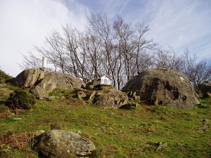 Tontorra
