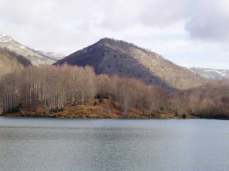 Lareotik ikusita