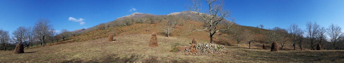 Ingurua