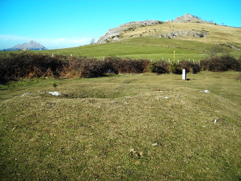 Linatza tumulua
