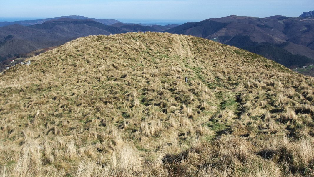 Ingurua