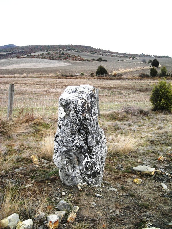 Ugarra zutarria