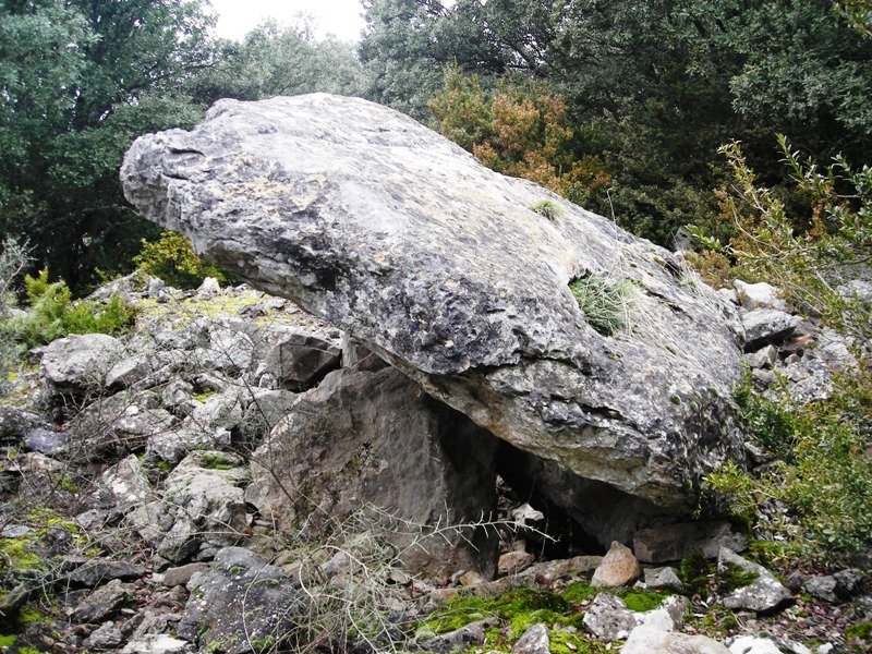 Angerta trikuharria
