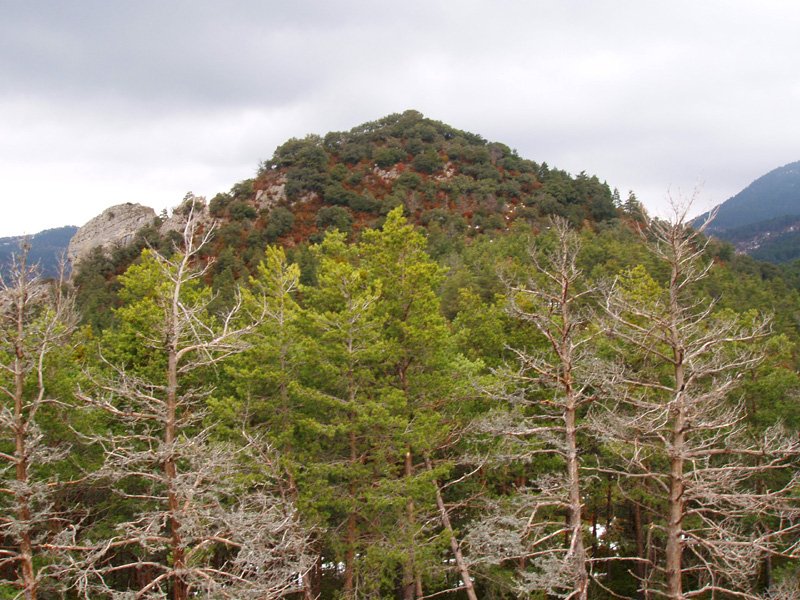 Azkarregia Haitza