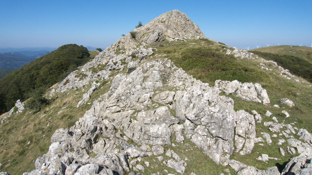 HEko bizkarra