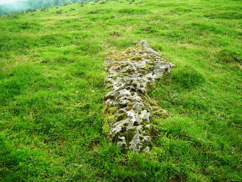 Azpegi  zutarria