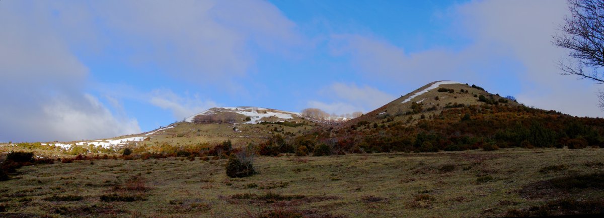 Zoiolagaña