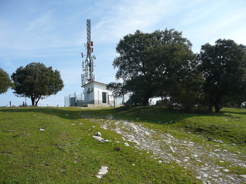 Tontorra