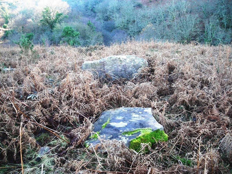 Atermin trikuharria