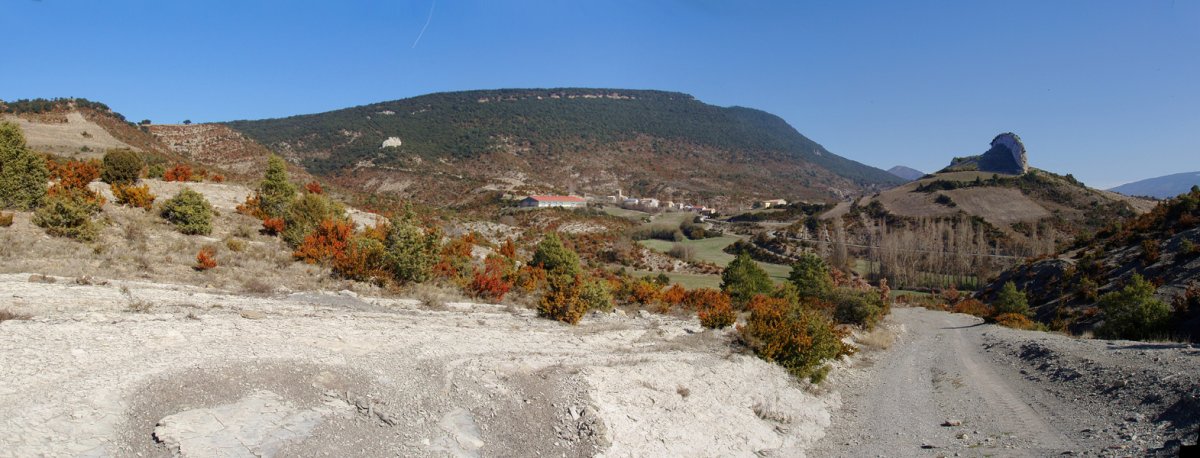 Napal herrixka