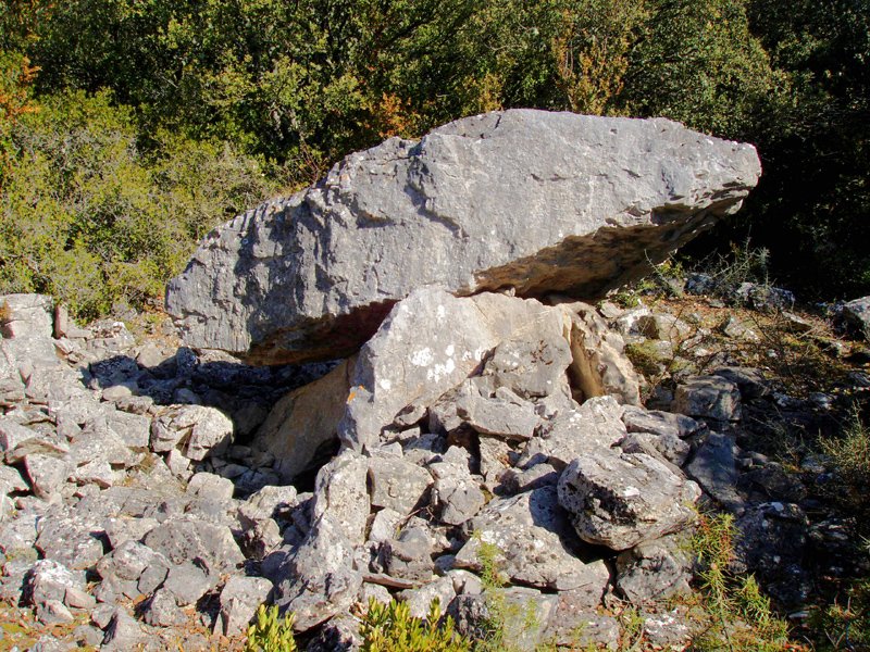 Angerta