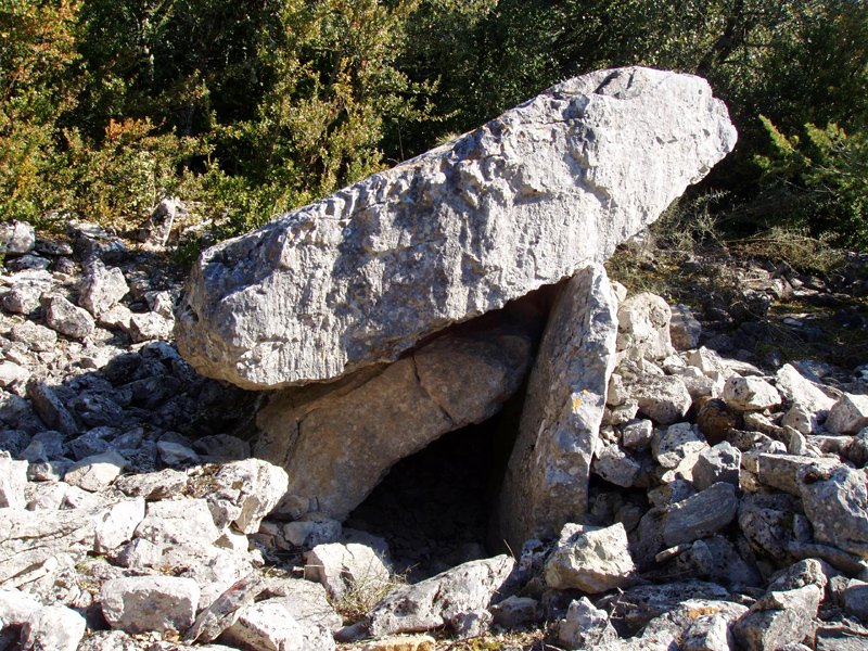 Angerta