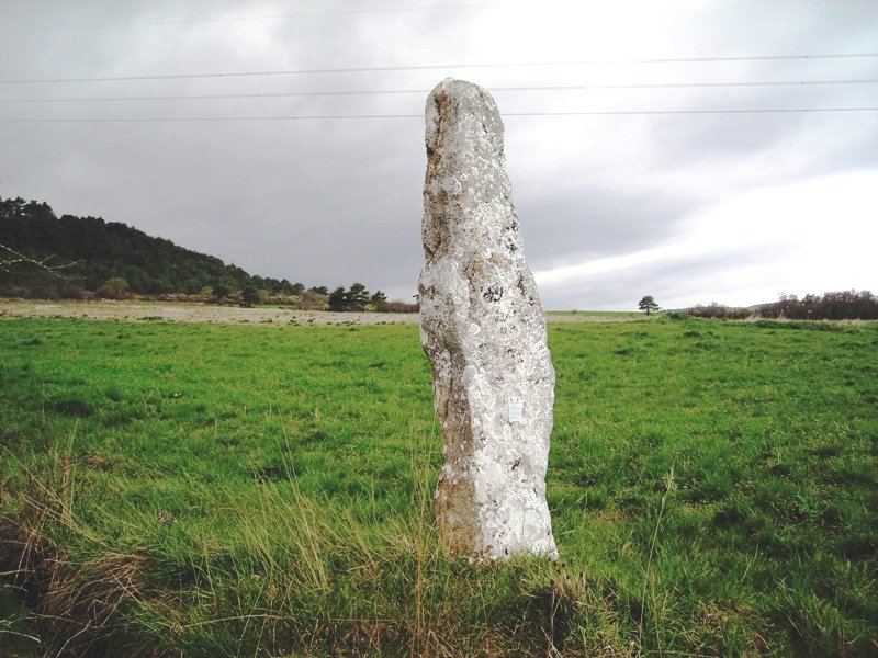 Ribota  zutarria
