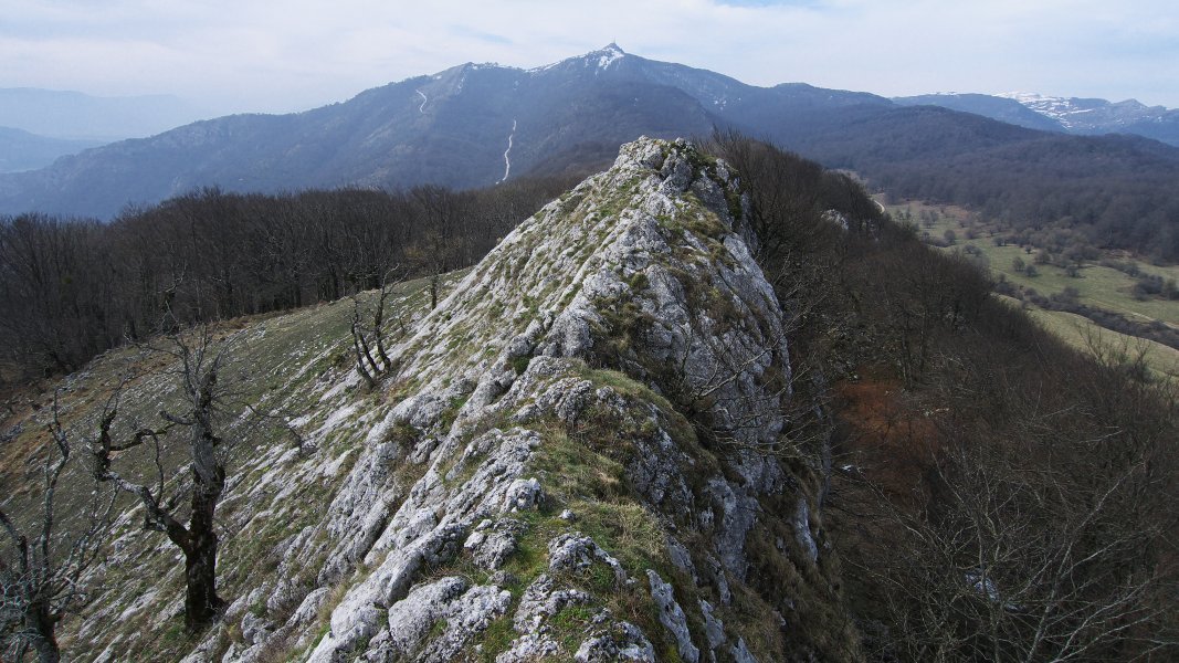 Tontorra