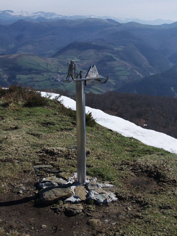 Buzoia