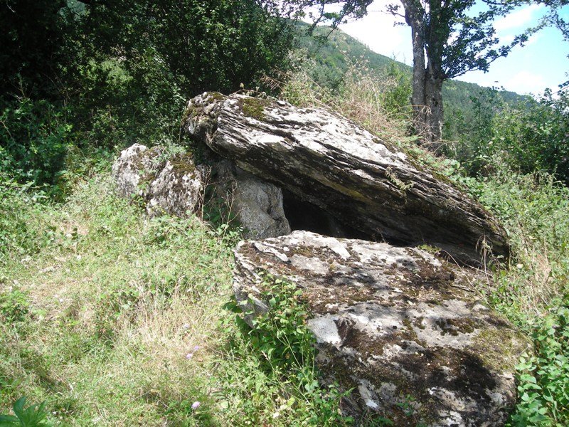 Sakulo trikuharria