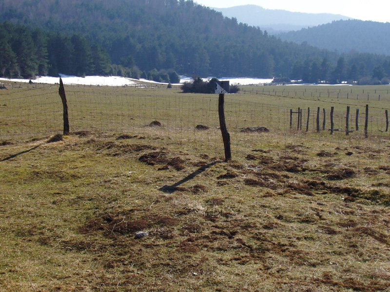 Llano de Erremendia