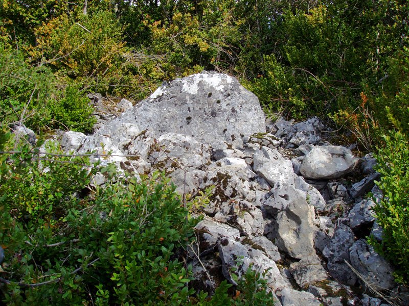 Ugarra 2
