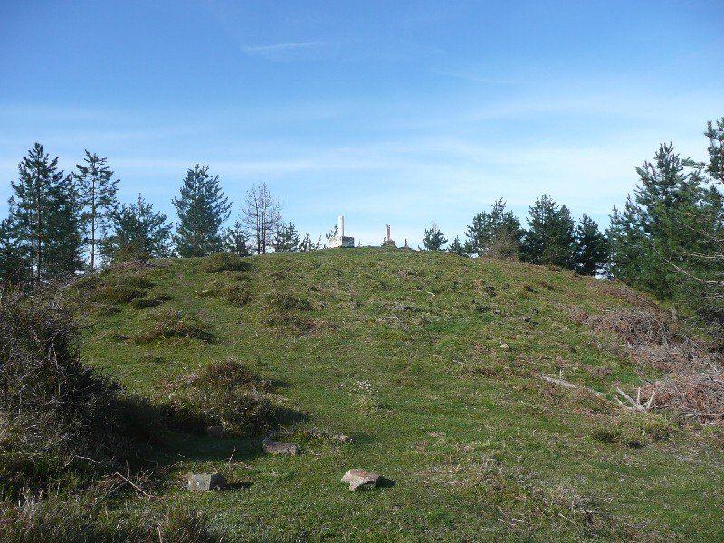 Tontorra