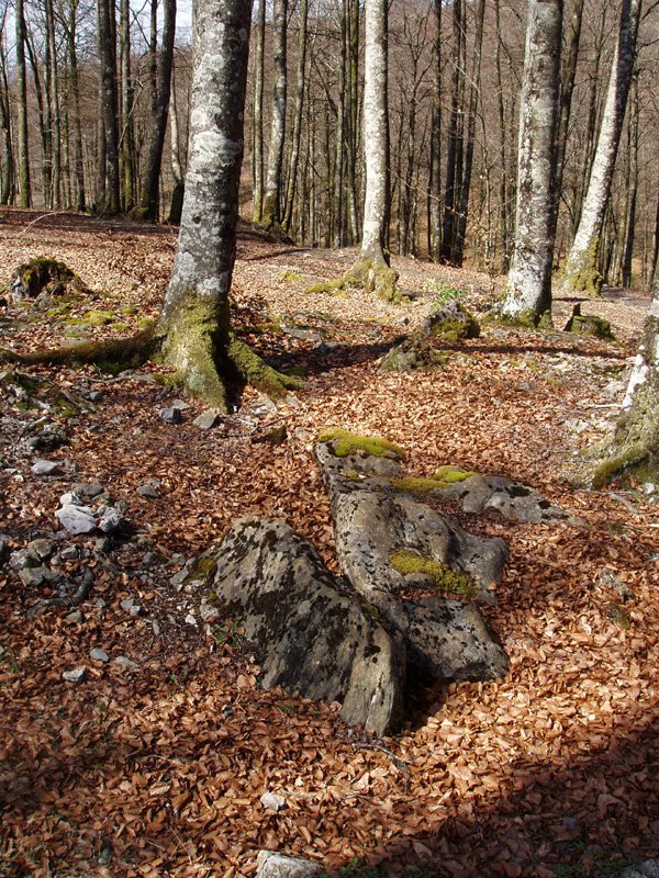 Mugasoro