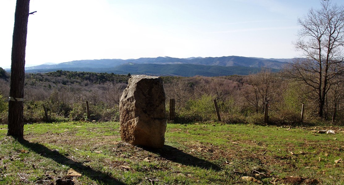 Arriudin