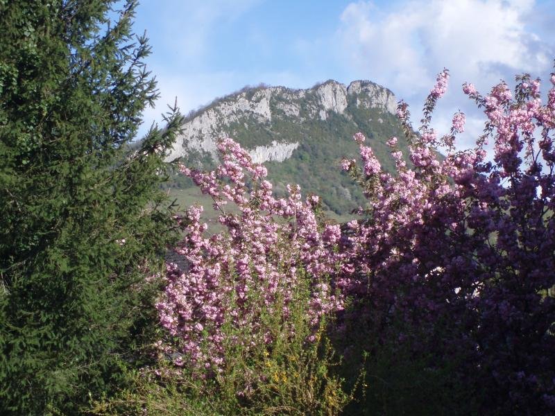 Argibel