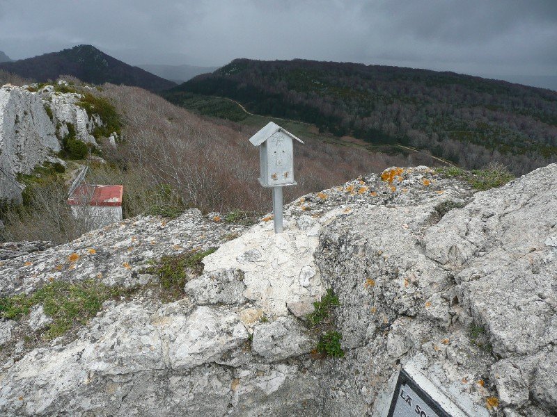 Tontorra
