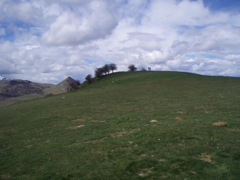 Zalhagaina
