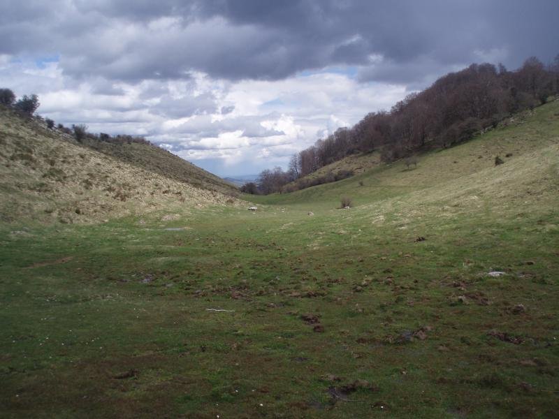 Zalhagaina