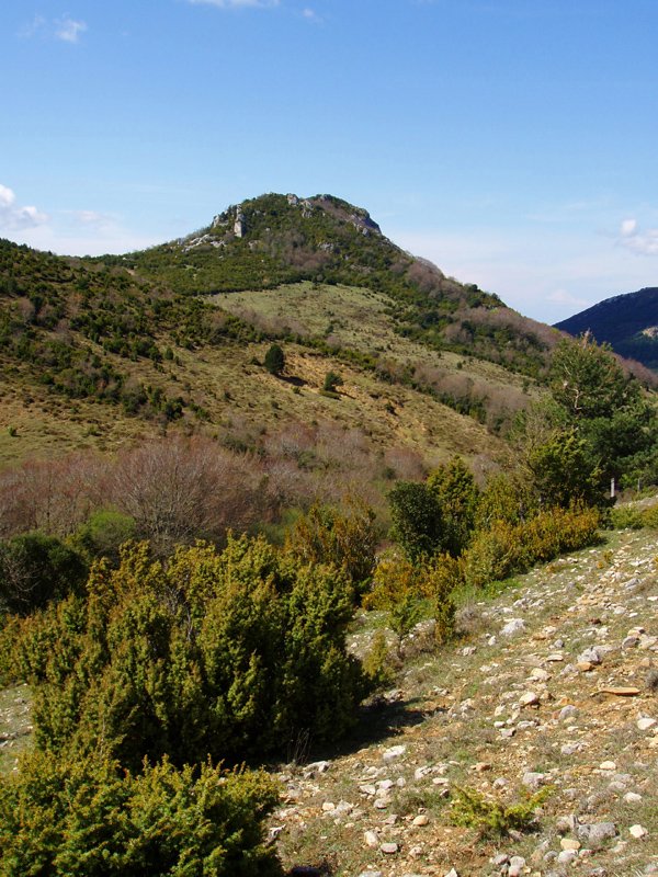Aiurdi