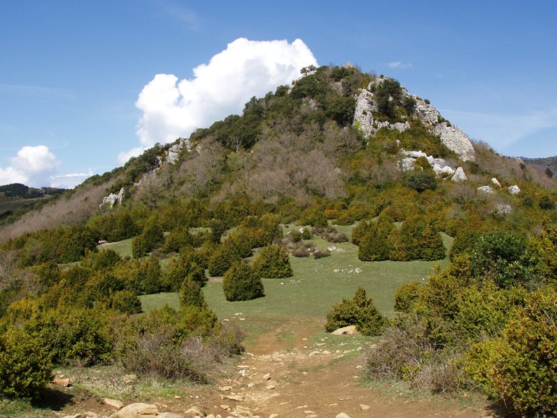 Aiurdi