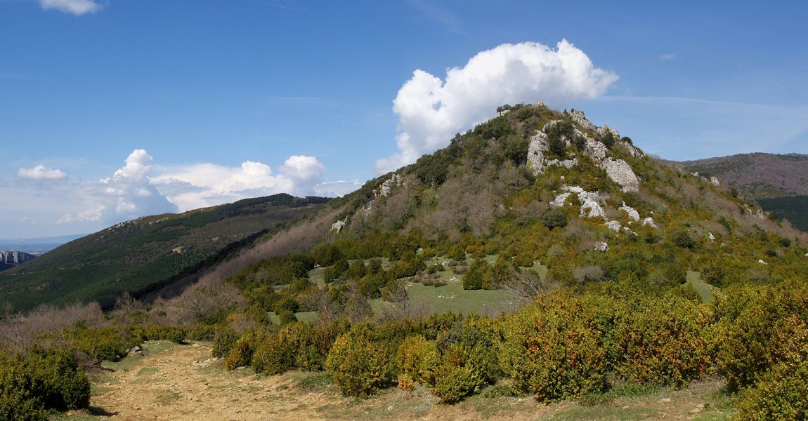 Aiurdi