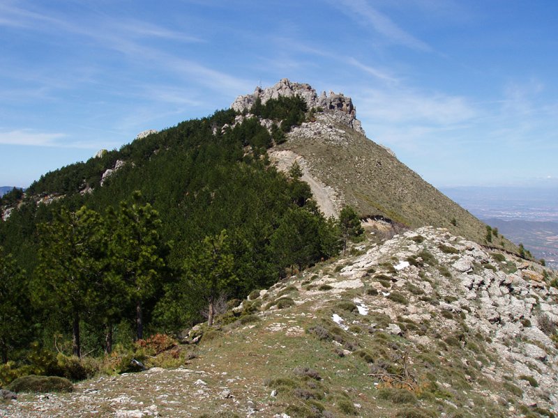 Isasa