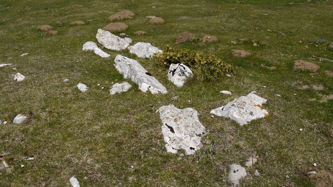...