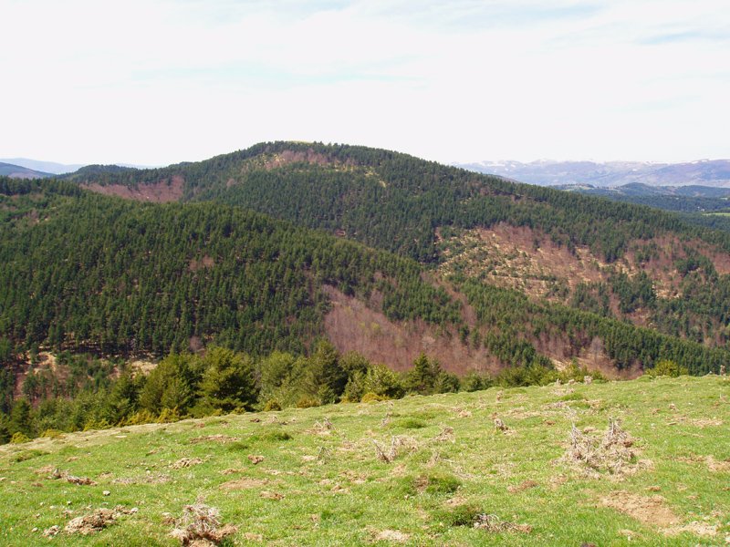 Lakuaga ekialdetik