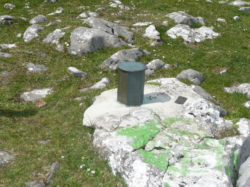 Buzoia