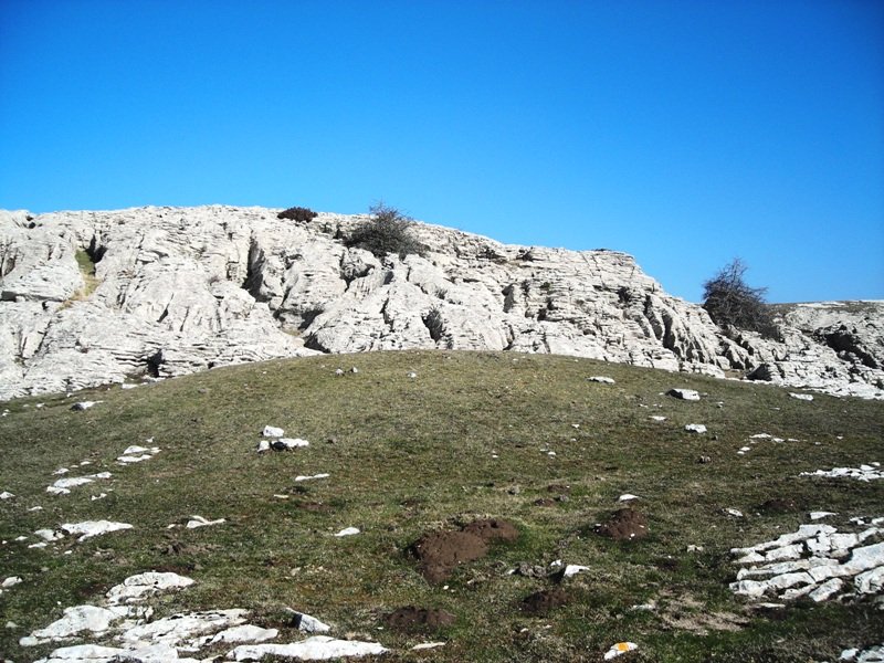 Tontorraundi etxola hondoa