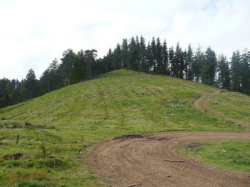 Buzoidun Tontorra