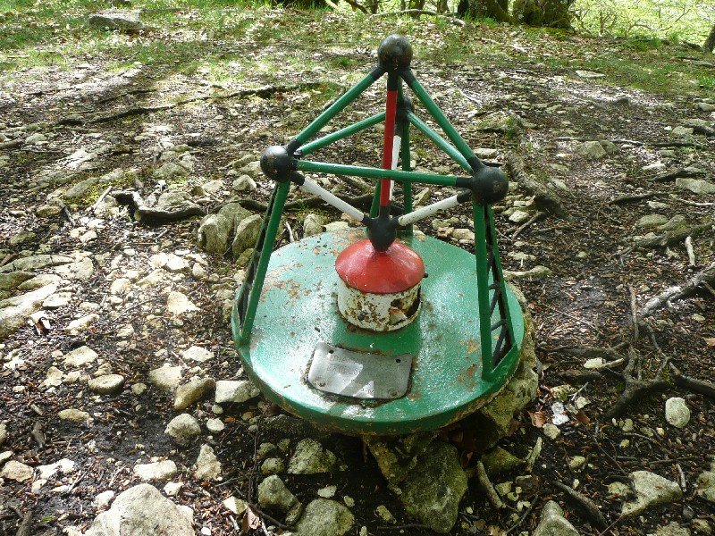 Buzoia