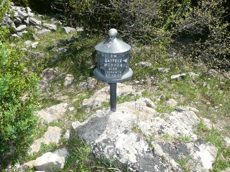 Buzoia