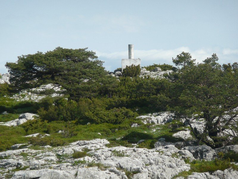 Tontorra