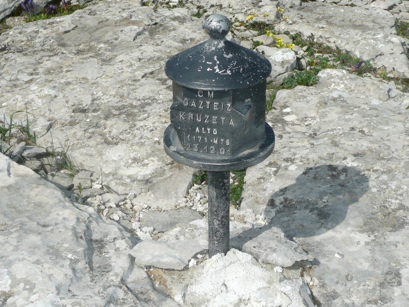 Buzoia