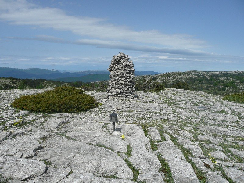 Tontorra