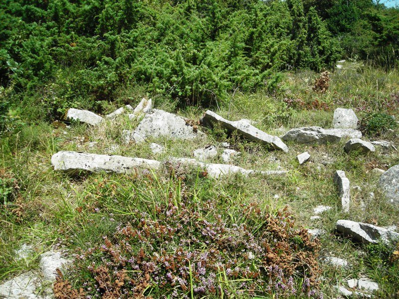 Larrola trikuharria